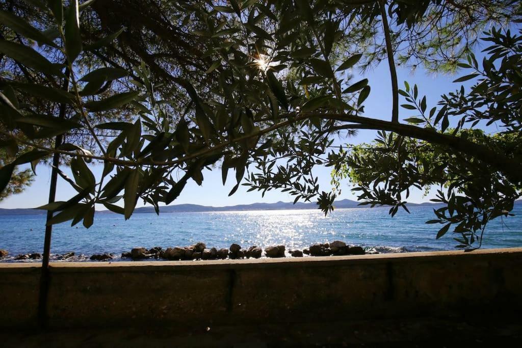 Seafront Beach Apartment - Directly At The Beach Zadar Zewnętrze zdjęcie